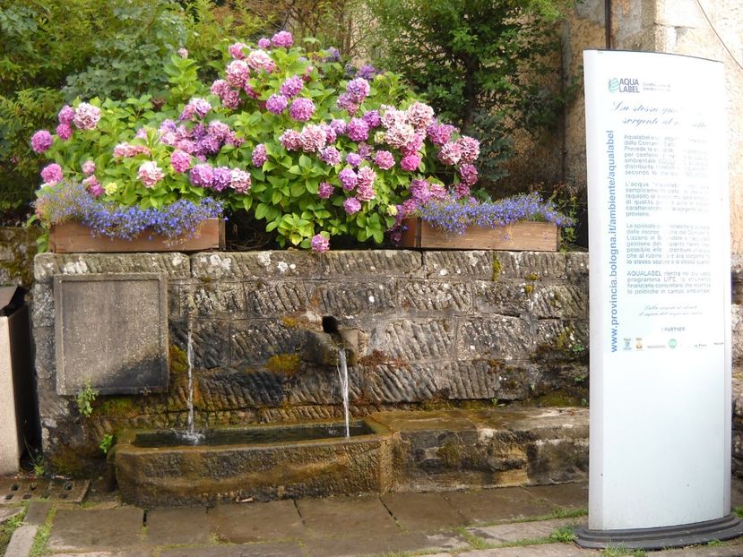  - 2009 AM AJUNS IN ITALIA localitatea LA CA