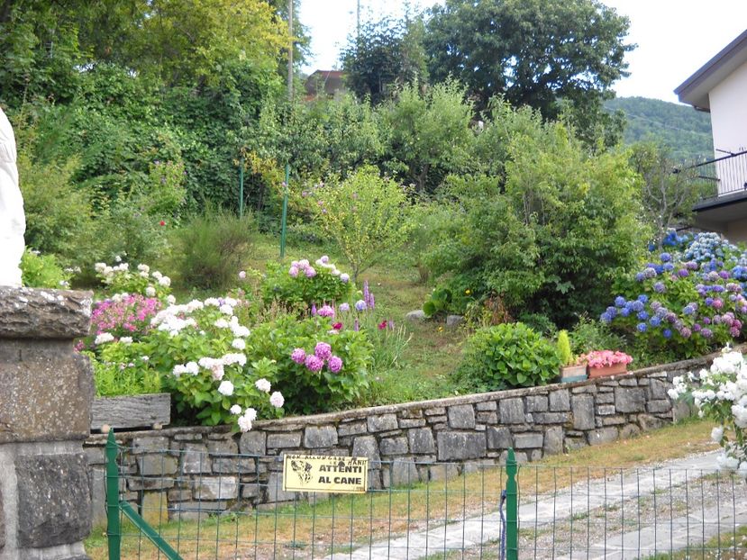  - 2009 AM AJUNS IN ITALIA localitatea LA CA