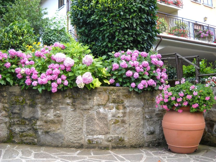  - 2009 AM AJUNS IN ITALIA localitatea LA CA