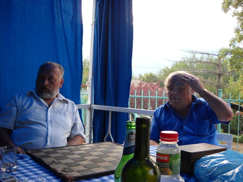  - 2009 AM AJUNS IN ITALIA localitatea LA CA