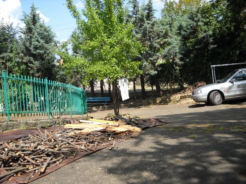  - 2009 AM AJUNS IN ITALIA localitatea LA CA