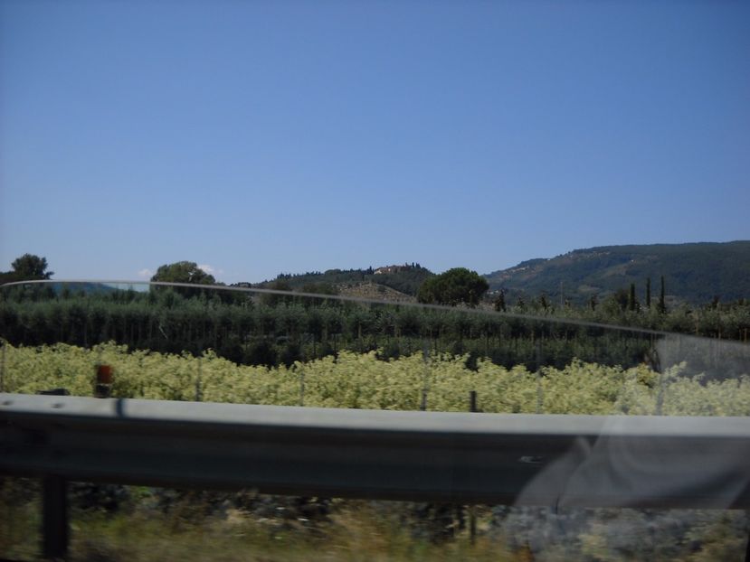  - 2009 AM PORNIT DIN NOU LA DRUM SPRE PISA