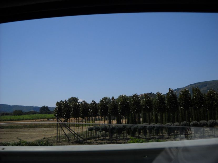  - 2009 AM PORNIT DIN NOU LA DRUM SPRE PISA