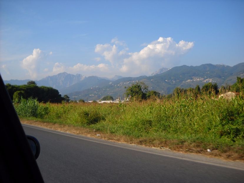  - 2009 PLAJA DE LA MAREA ADRIATICA