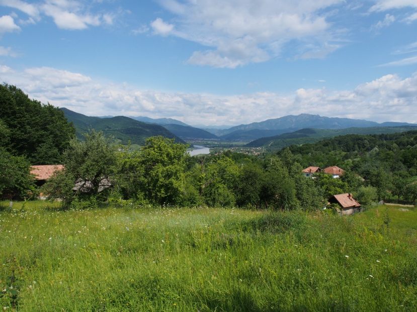 Valea Oltului si draga Cozie ( dreapta ) - 1 Gradina mea