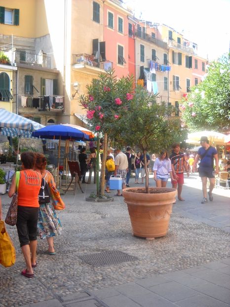  - 2009 PLAJA DE LA MAREA ADRIATICA