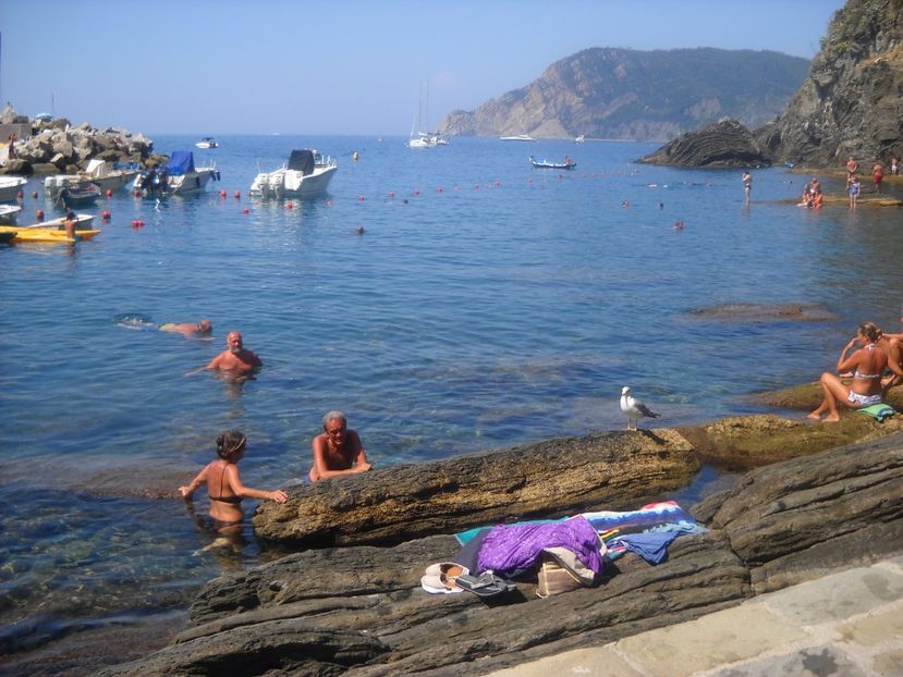  - 2009 PLAJA DE LA MAREA ADRIATICA