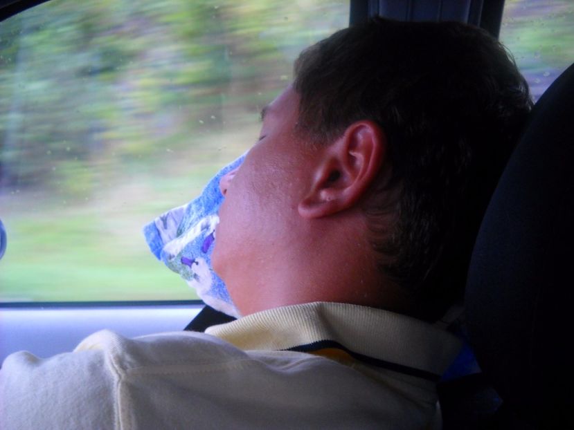  - 2009 INTOARCEREA ACASA PRIN BUDAPESTA