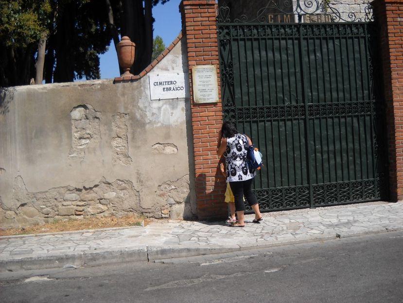  - 2009 AM PORNIT DIN NOU LA DRUM SPRE PISA