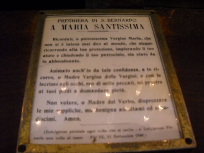  - 2009 AM PORNIT DIN NOU LA DRUM SPRE PISA