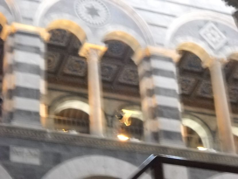  - 2009 AM PORNIT DIN NOU LA DRUM SPRE PISA