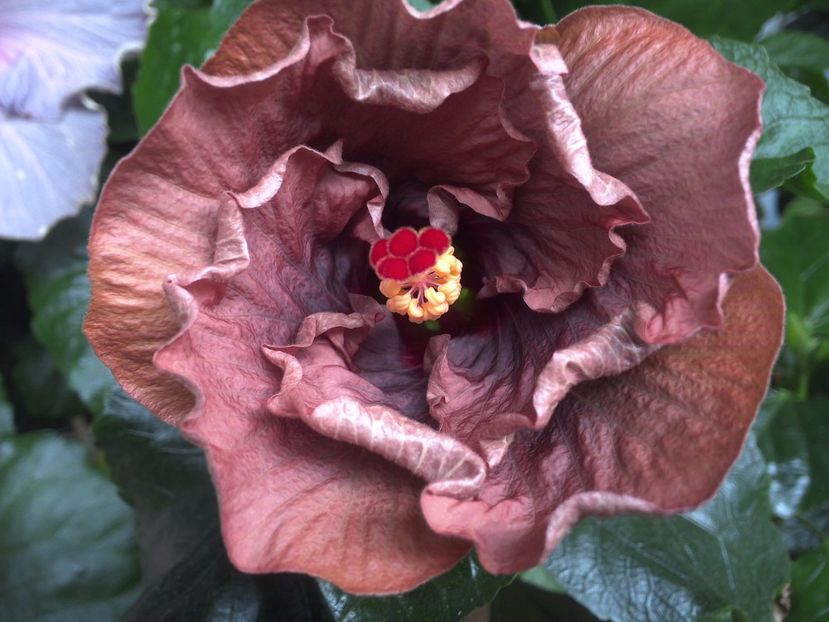 WIN_20170702_121010 - Nightmare