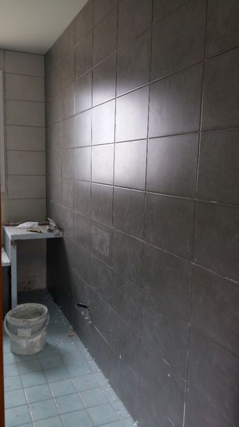  - Photo lucrarile mele in Lyon