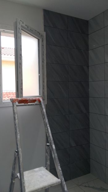  - Photo lucrarile mele in Lyon