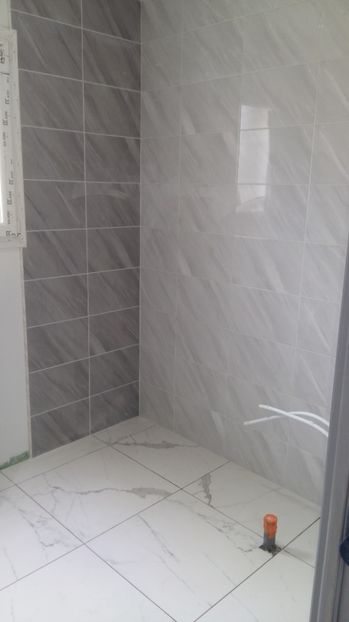  - Photo lucrarile mele in Lyon