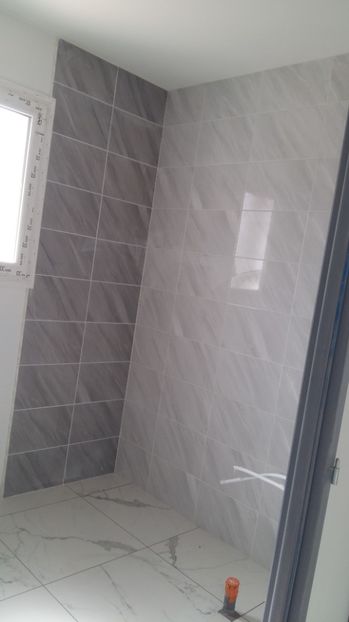  - Photo lucrarile mele in Lyon