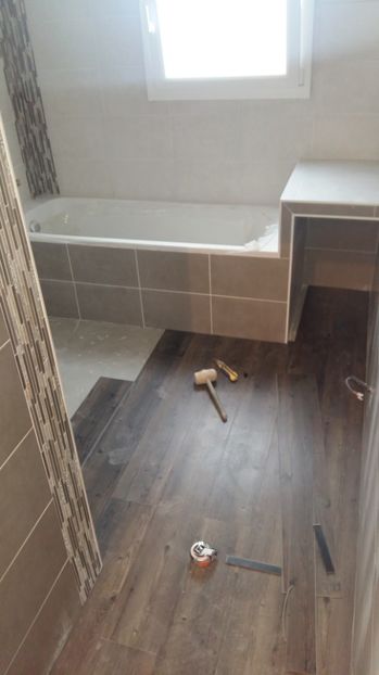  - Photo lucrarile mele in Lyon