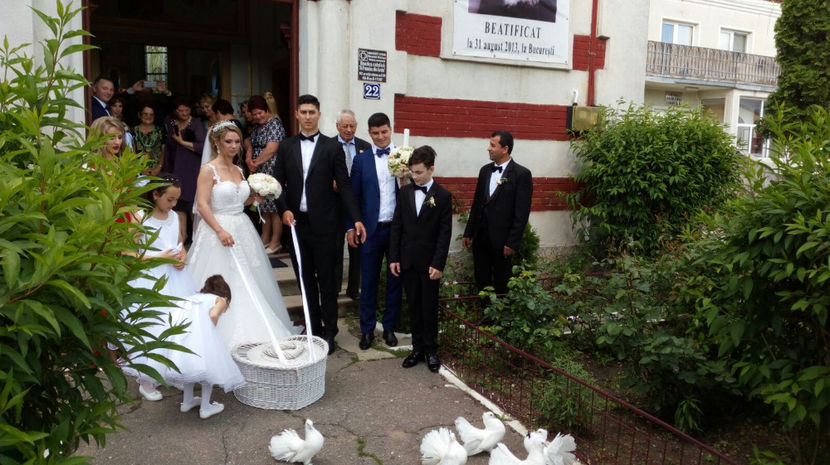 Porumbei Albi de nunta 0766745496 - Porumbei albi pentru nunta Targoviste