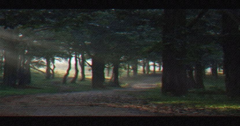  - enjoy the fresh air at mystic forest