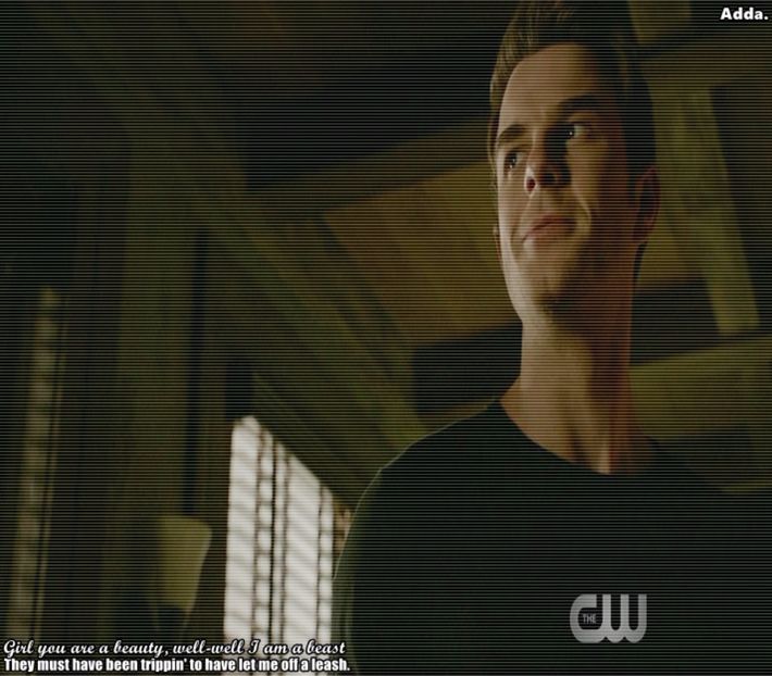 》Mai bine nu... Că iar o să vrea să ne transforme pe toți în oameni, să ne mute în alte+ - 01 x welcome to mystic falls