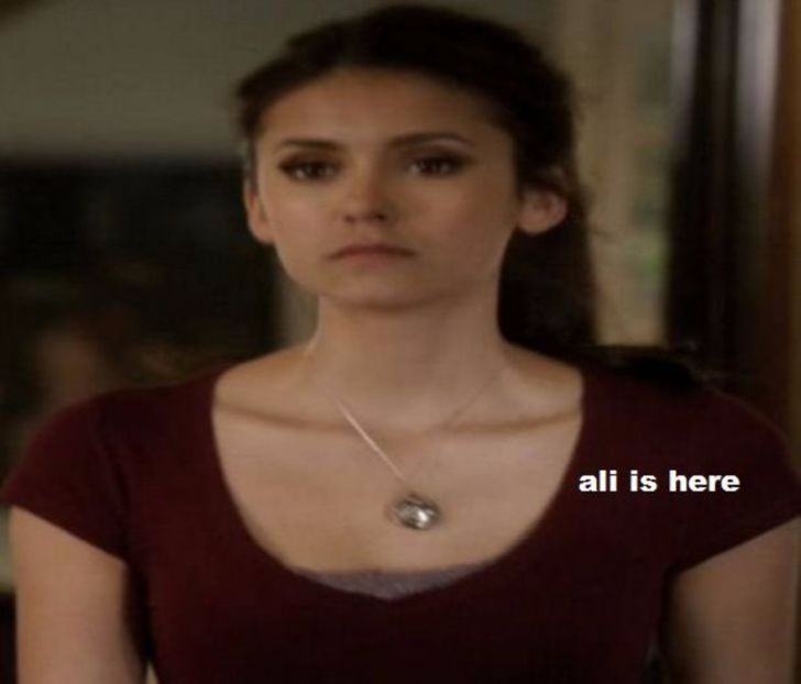 107599392_DKYNPHJ - 01 america - pmdm