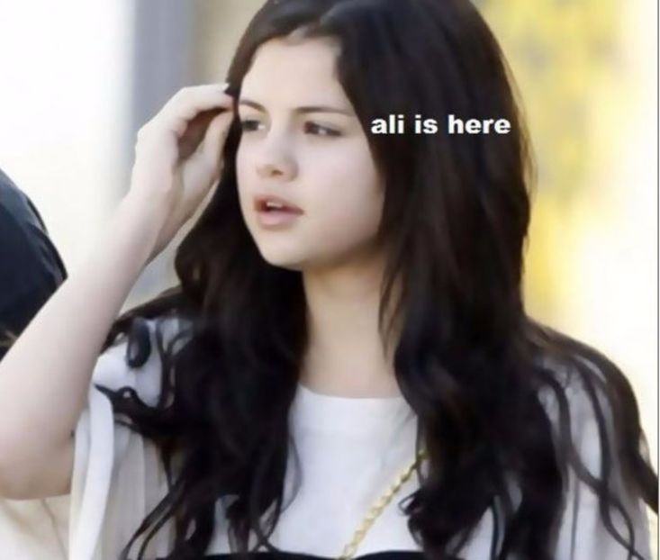 107624751_RLSTZDH - 01 america - pmdm