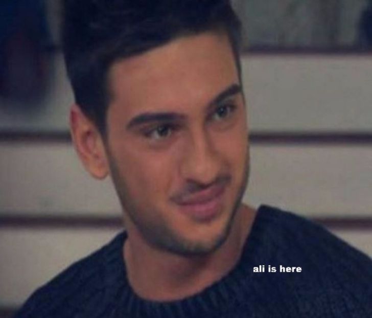 108356298_EPDDPWG - 01 andrei - pmdm - 2