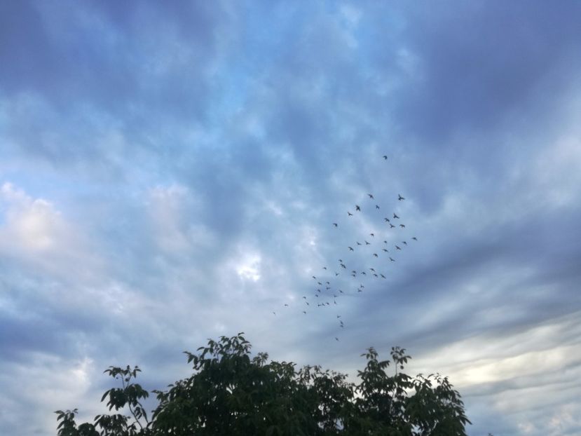  - 02-07-2017 fond 3 Chelm 1