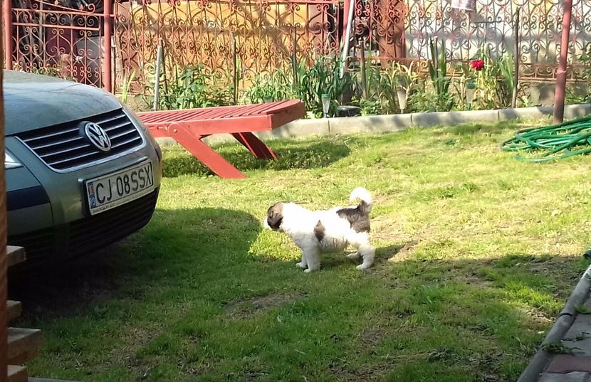 20170625_094917-1 - Canisa de Manastireni