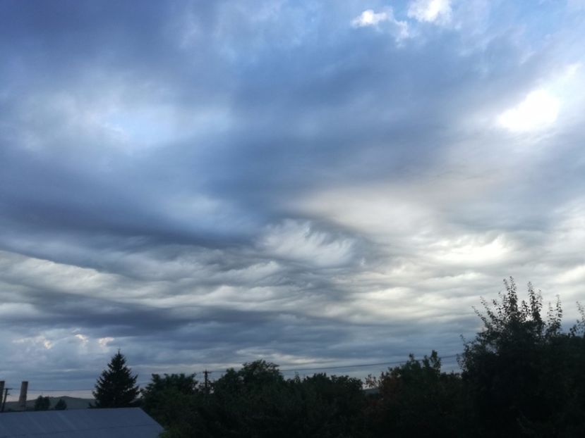  - 02-07-2017 fond 3 Chelm 1