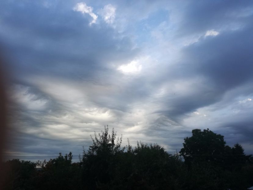  - 02-07-2017 fond 3 Chelm 1