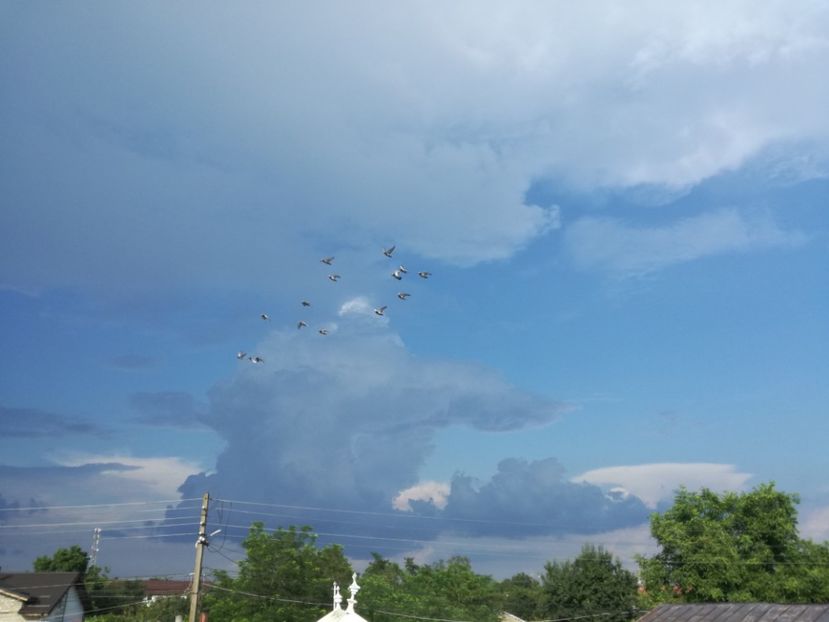  - 02-07-2017 fond 3 Chelm 1