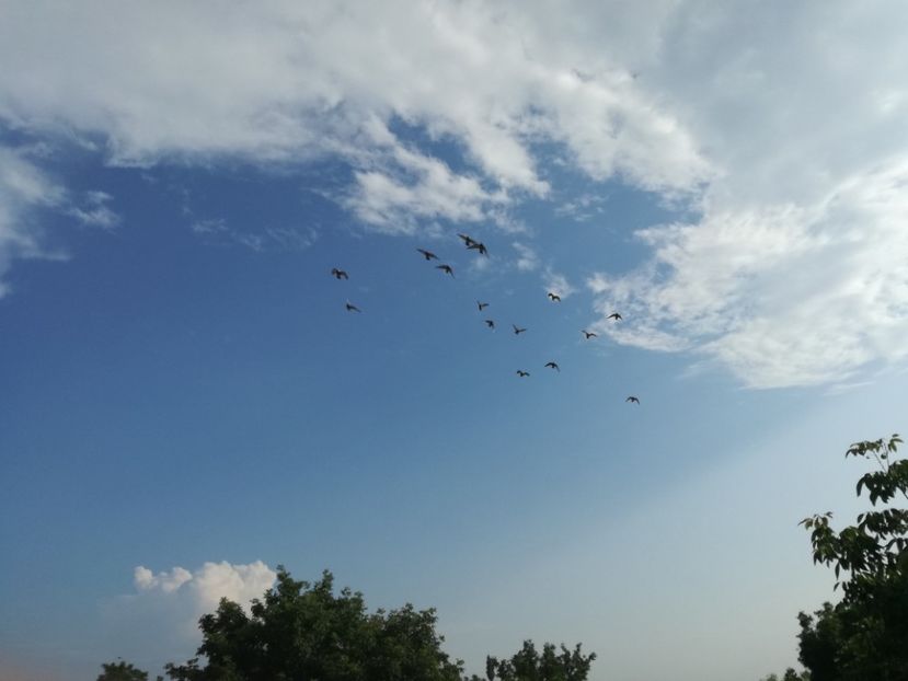  - 02-07-2017 fond 3 Chelm 1