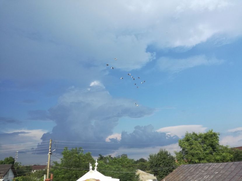  - 02-07-2017 fond 3 Chelm 1