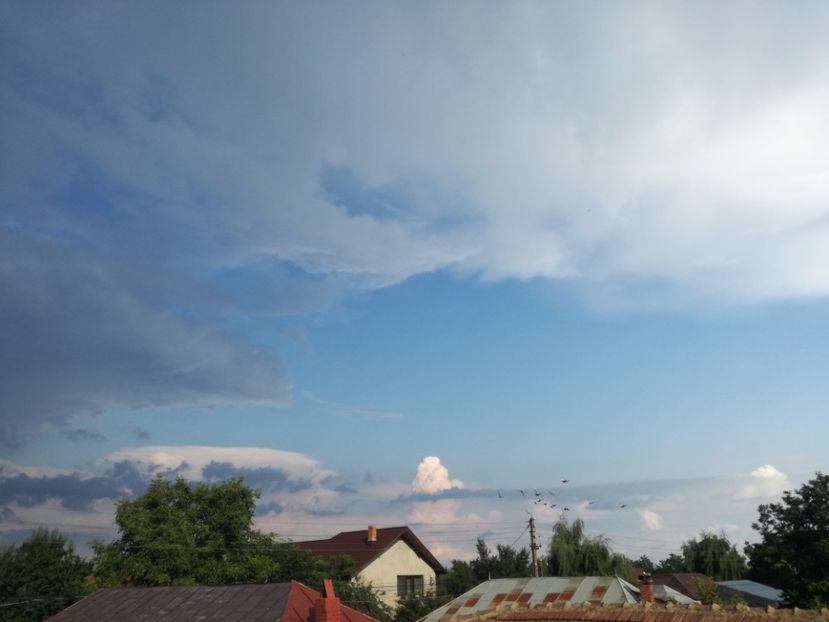  - 02-07-2017 fond 3 Chelm 1