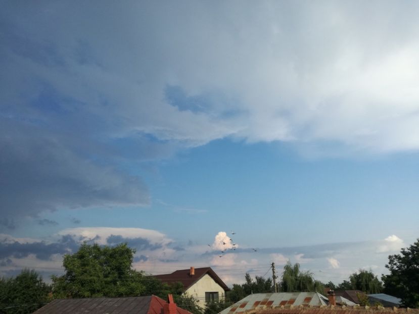  - 02-07-2017 fond 3 Chelm 1