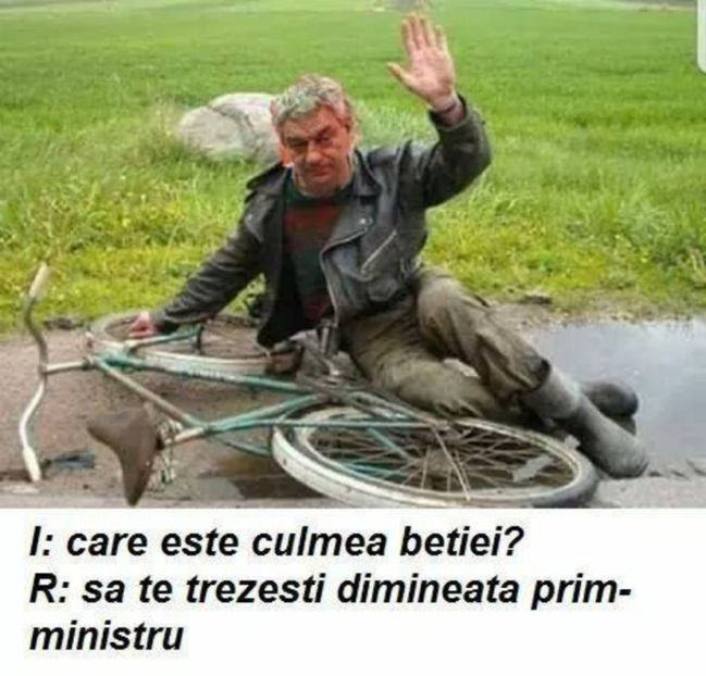  - Poze haioase pamflet