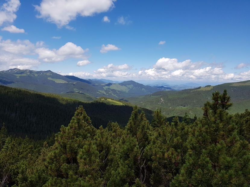 Vedere spre Tara Dornelor - Frumuseti din M-tii Calimani