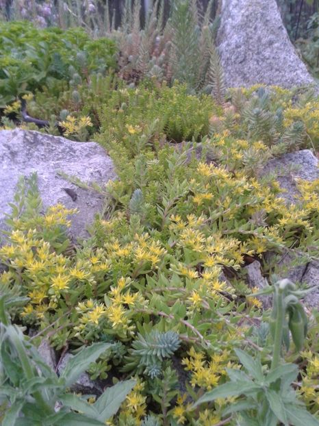 2017-1 telefon 054 - Vara 2014-2017