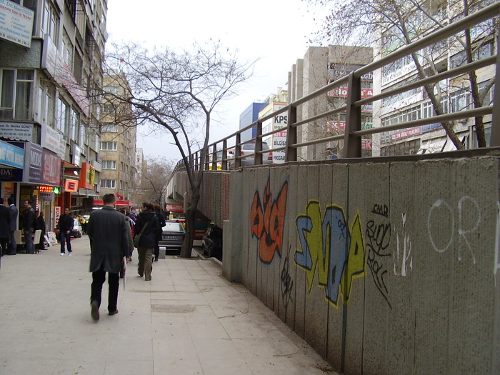 Pasarele; La caum e traficul e de inteles de ce sunt atatea pasarele.
