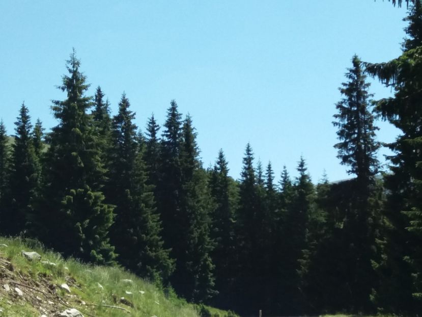  - Transalpina iulie 2017