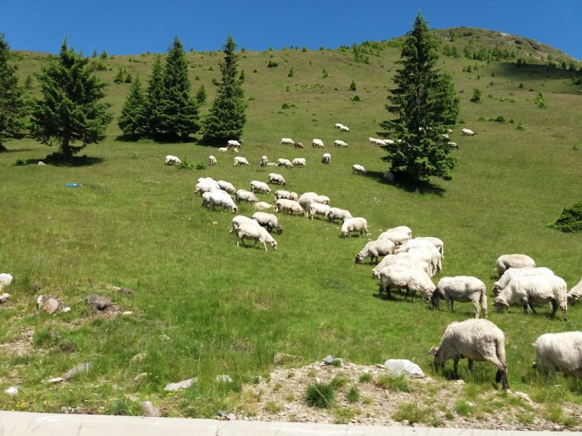  - Transalpina iulie 2017
