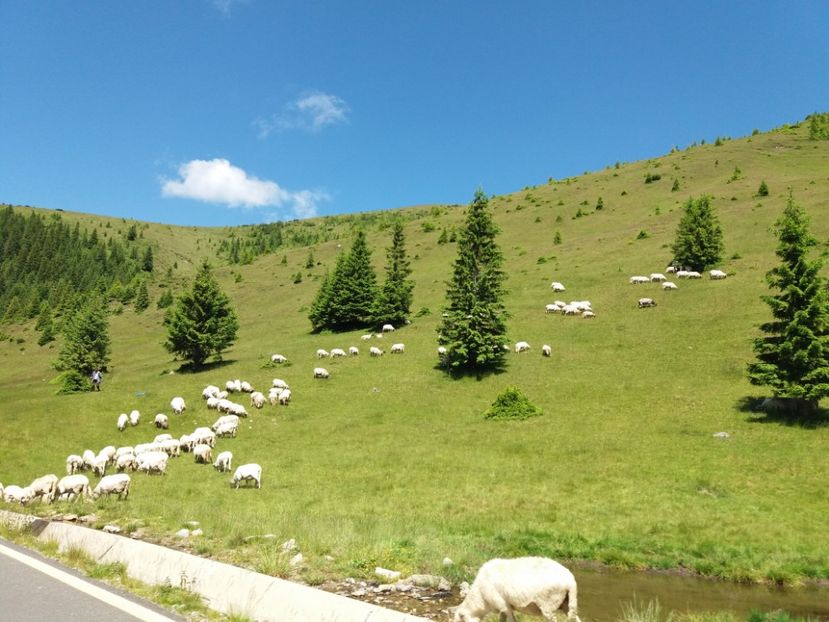  - Transalpina iulie 2017
