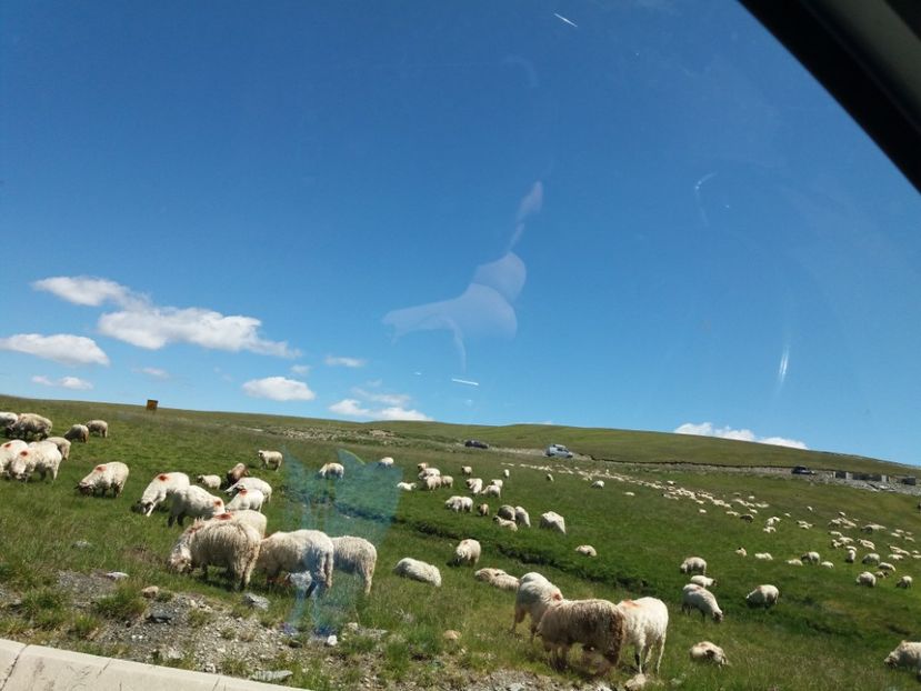  - Transalpina iulie 2017