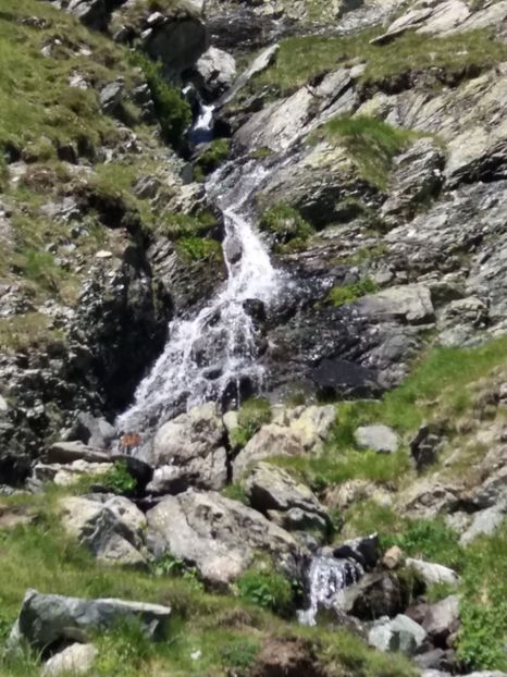 - Transalpina iulie 2017