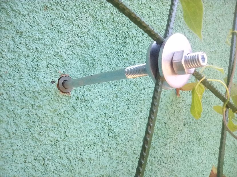  - Comtesse de Bouchaud