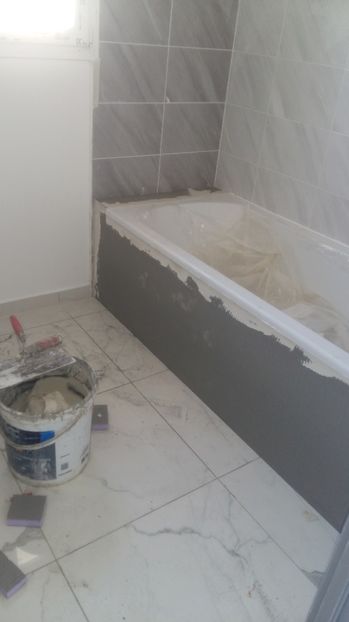  - Photo lucrarile mele in Lyon