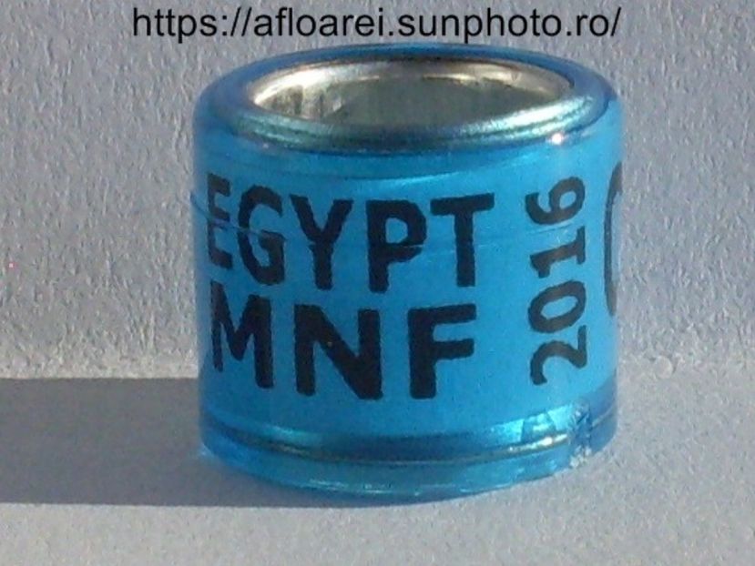 EGYPT MNF 2016 - EGYPT