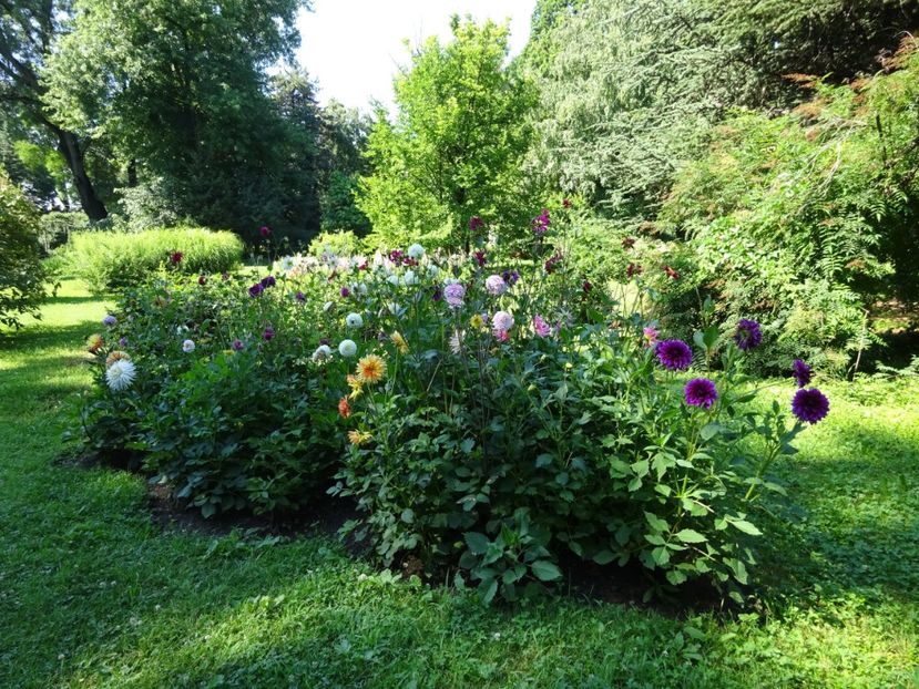  - 01 Gradina Botanica iulie 2017