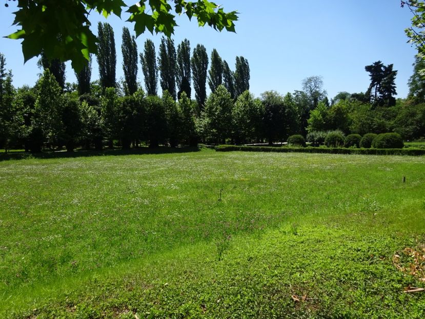  - 01 Gradina Botanica iulie 2017